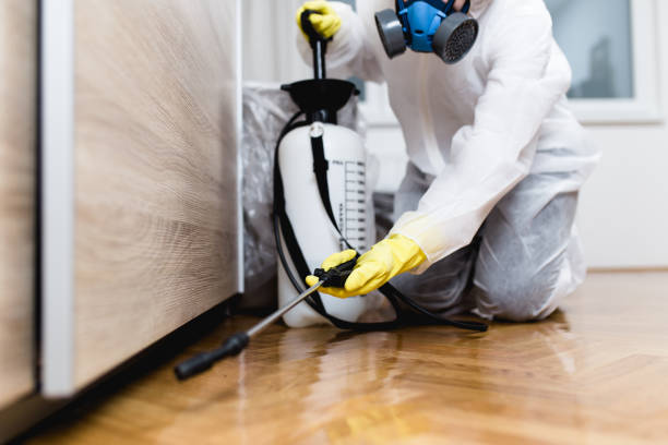  Hewitt, TX Pest Control Pros