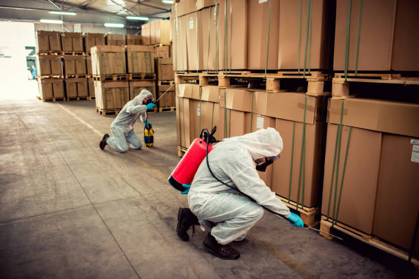 Best Affordable Pest Control Services  in Hewitt, TX