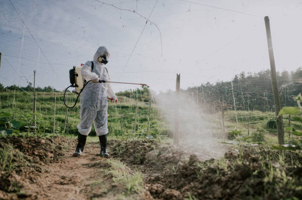 Best Commercial Pest Control Services  in Hewitt, TX