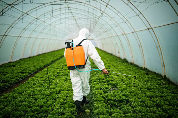 Best Pest Removal Services  in Hewitt, TX