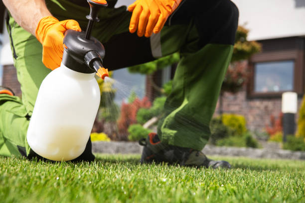 Best Rat Extermination Near Me  in Hewitt, TX