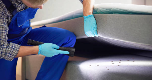 Best Local Pest Control Services  in Hewitt, TX