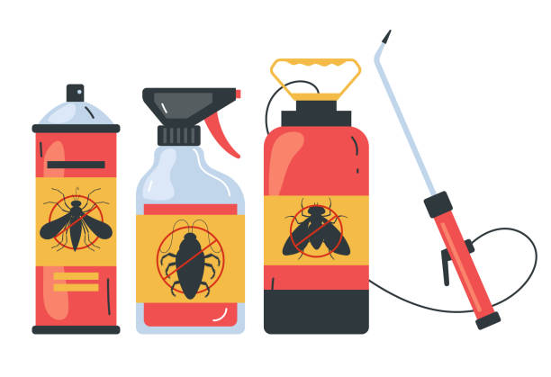 Wasp Removal Services in Hewitt, TX