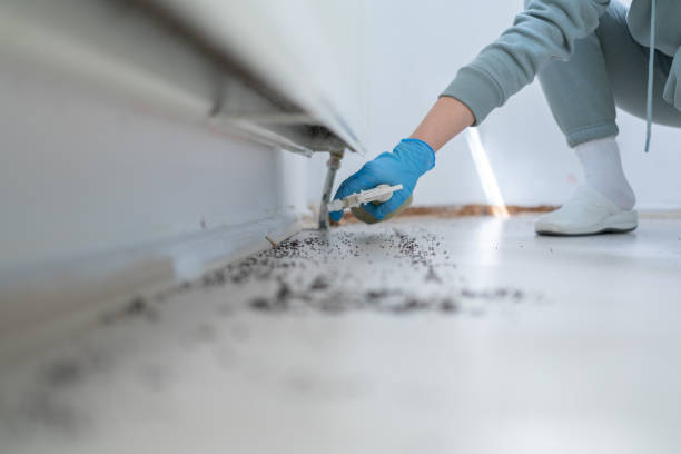 Best Emergency Pest Control  in Hewitt, TX